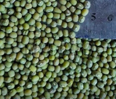 Green Moong Dal