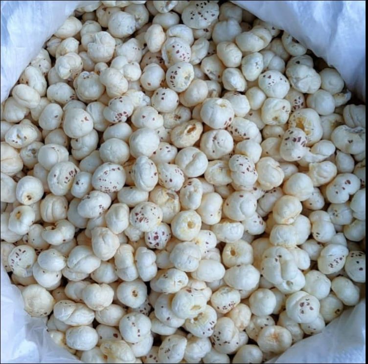 6 Sutta + (19 MM - 25 MM) MAKHANA