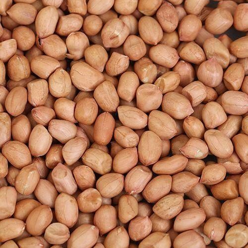 Groundnut Seeds