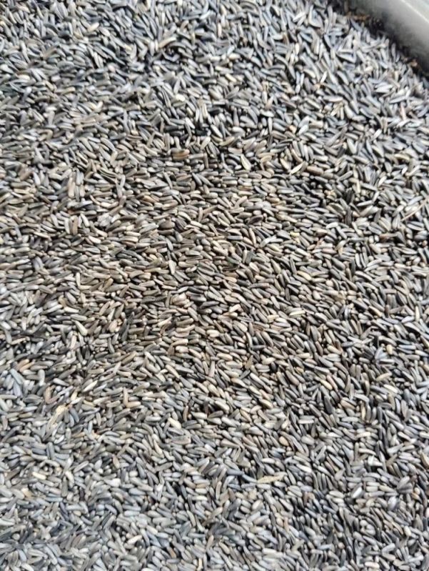Niger Seeds