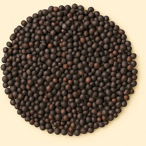 Bold Black Mustard Seeds