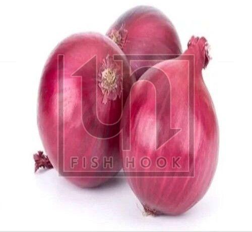 A Grade Red Onion