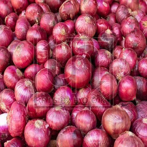 Organic Red Onion