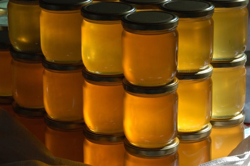 Organic Forest Honey