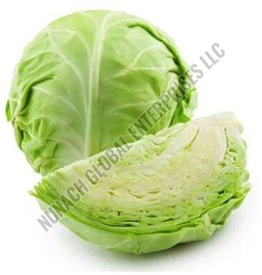 Fresh Cabbage