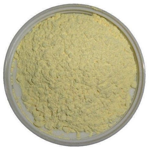 Meloxicam Powder