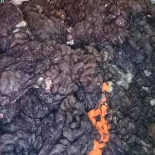 Human Hair