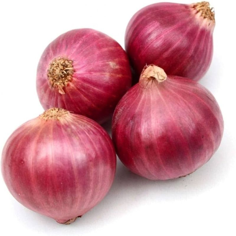 Fresh Red Onion