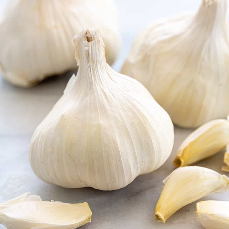 Fresh White Garlic