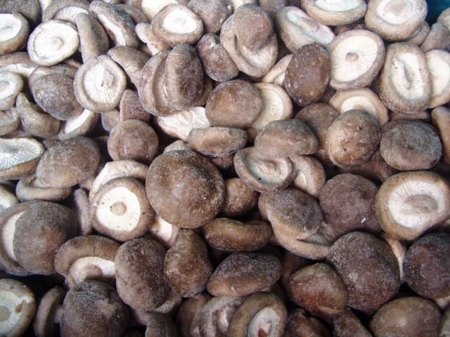 Frozen Black Mushroom