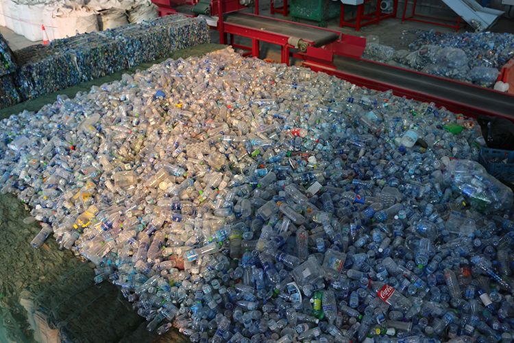 PET Bottle Scrap