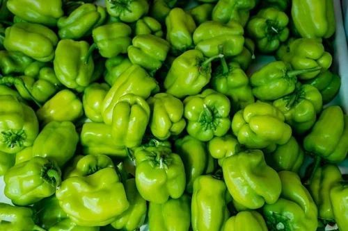 Fresh Green Capsicum