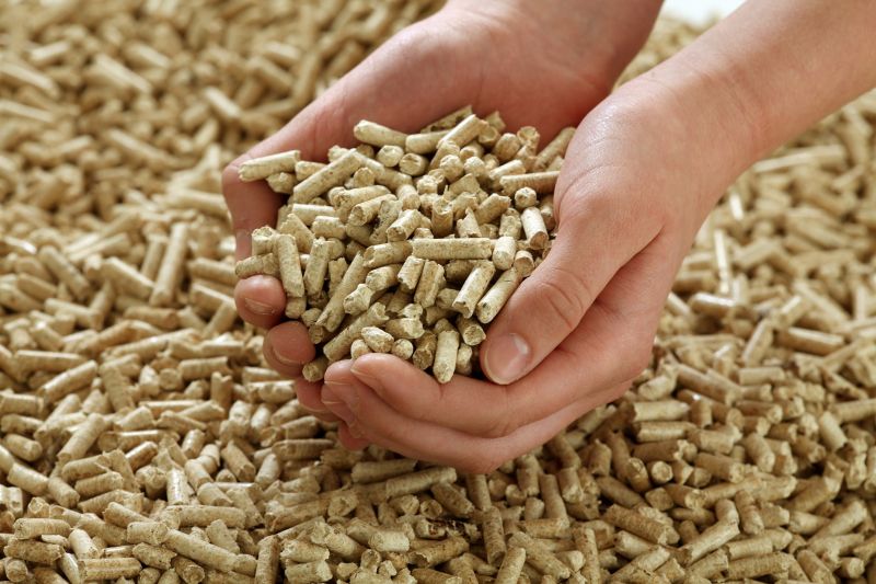 Natural Biomass Pellet