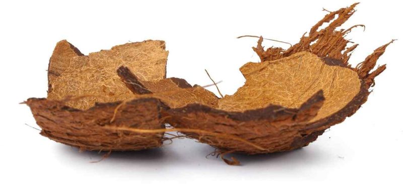 coconut shell