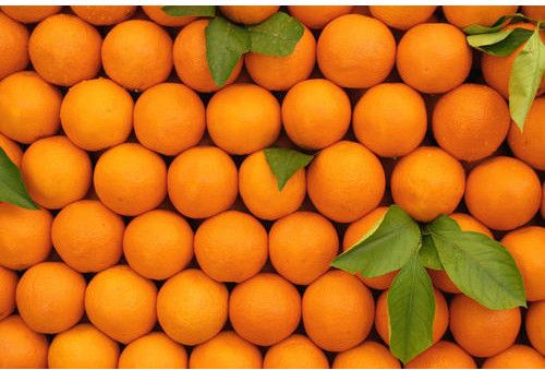 Fresh Orange