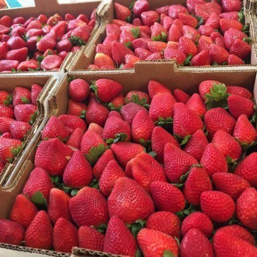 Fresh Strawberry