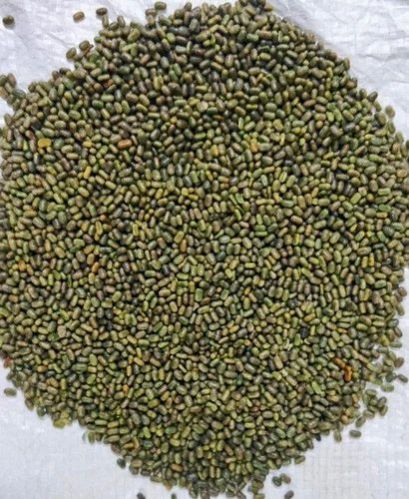 Green Manure Seeds