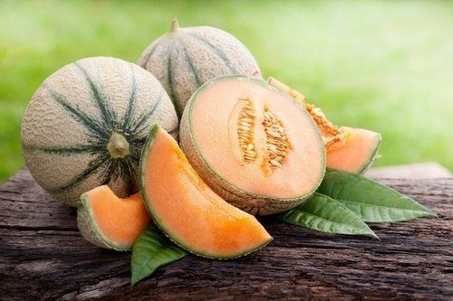 Fresh Muskmelon