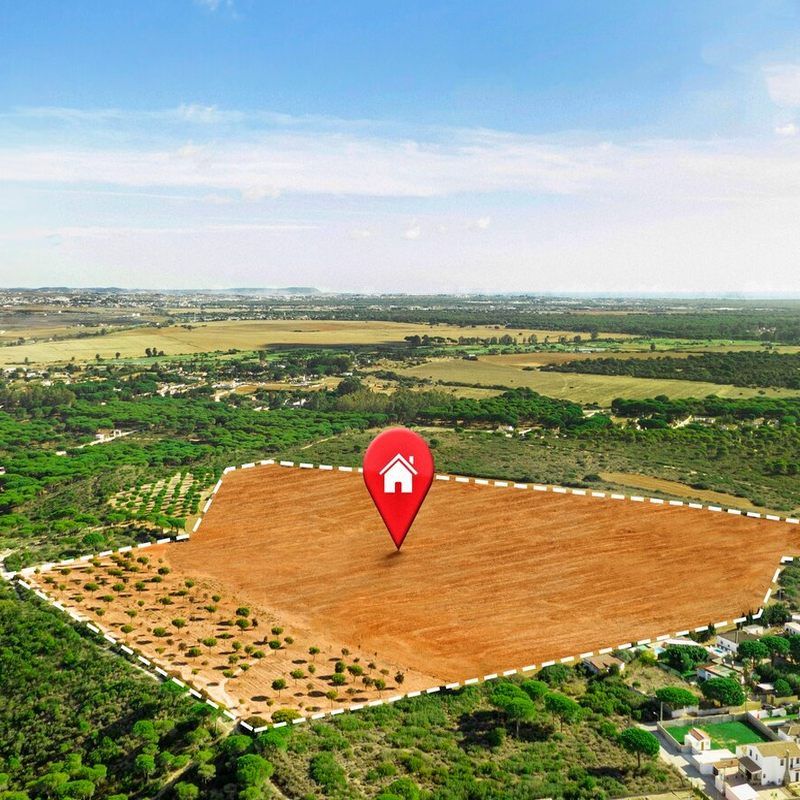 Non Agricultural Land Valuation Services