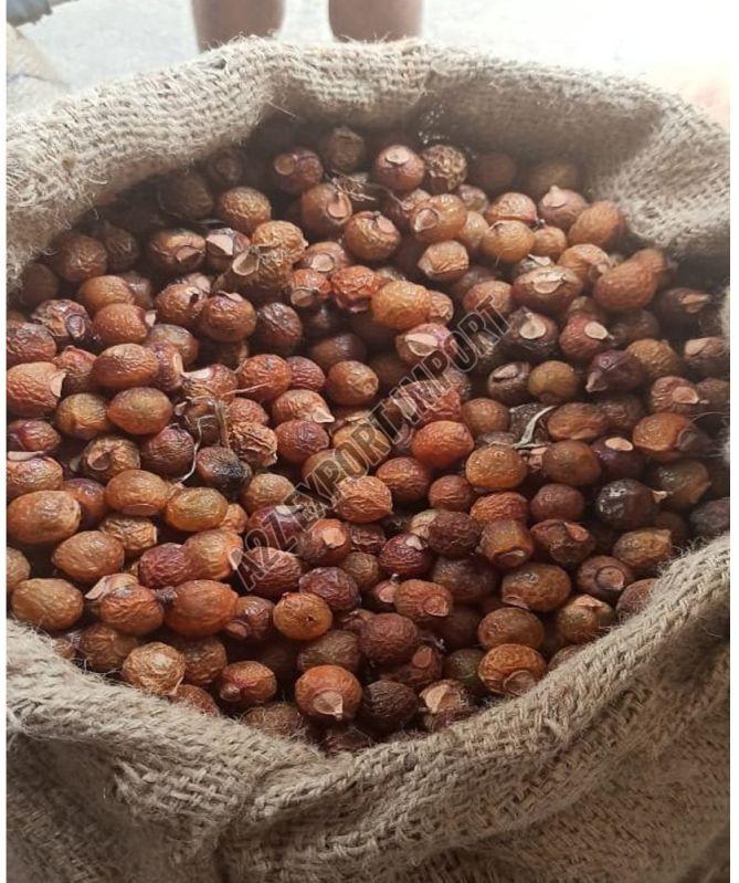 Whole Soap Nuts