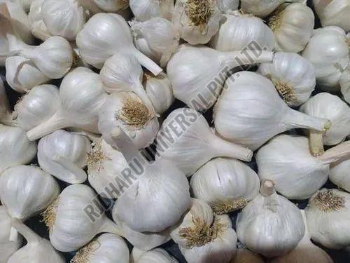 Fresh White Garlic