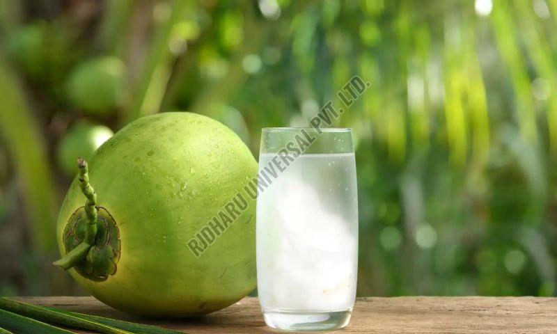 Tender Coconut Water