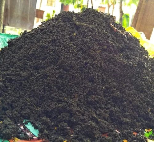 1kg Enriched VermiCompost Fertilizer Powder