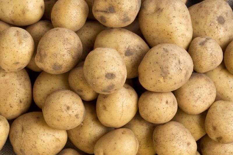 Fresh Baby Potato