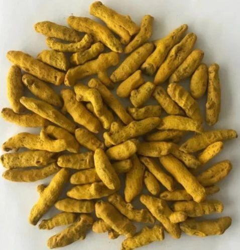 Lakadong Turmeric Finger