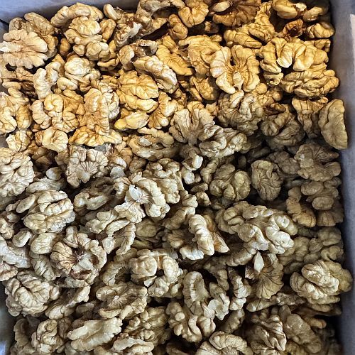 Walnut Kernels