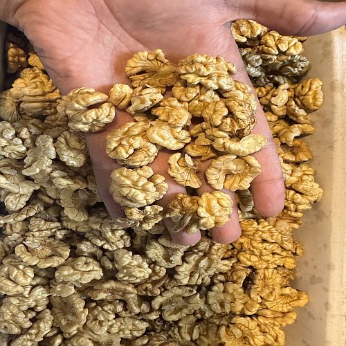 Organic Walnut Kernels