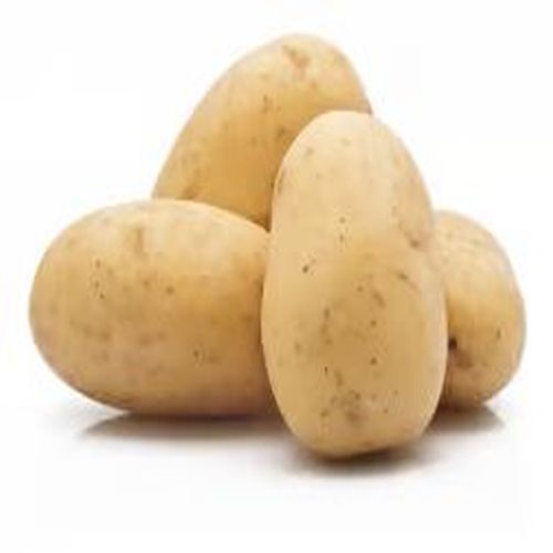Fresh Brown Potato