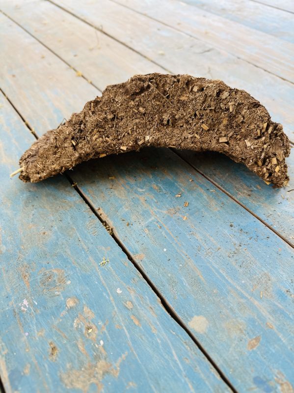 Dried Cow Dung Cake