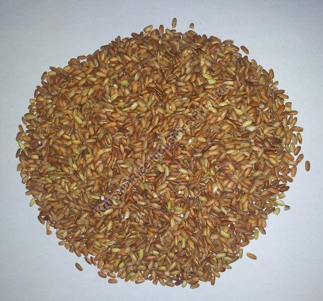 Brown Rice