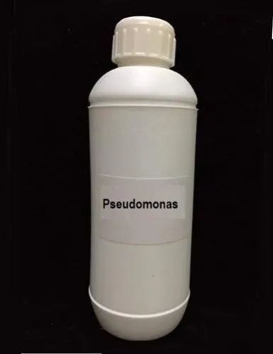 Pseudomonas Fluorescens
