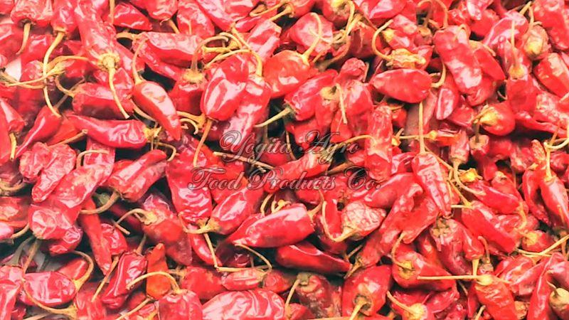 IPM Tepa Red Chilli