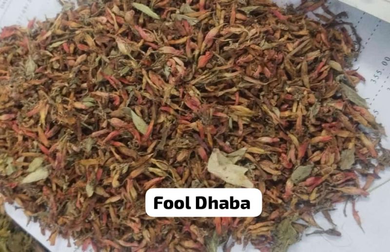 Fool Dhaba