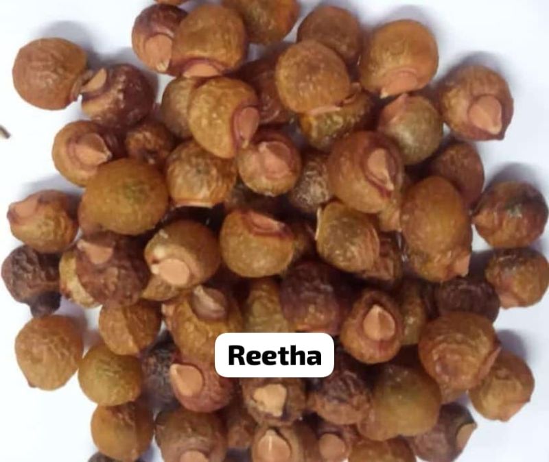 Reetha