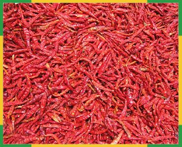 Dried Red Chilli