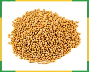Mustard Seeds