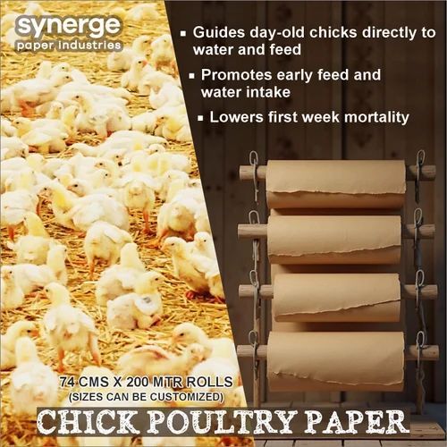 Chick Smooth Poultry Paper Roll