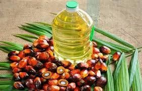 Oils & Fats