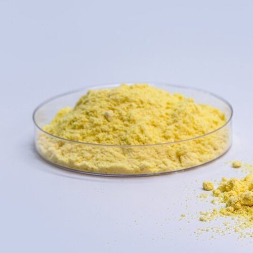 Coenzyme Q10 Powder