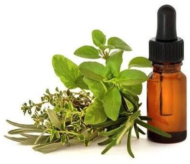 Tea Tree Oil