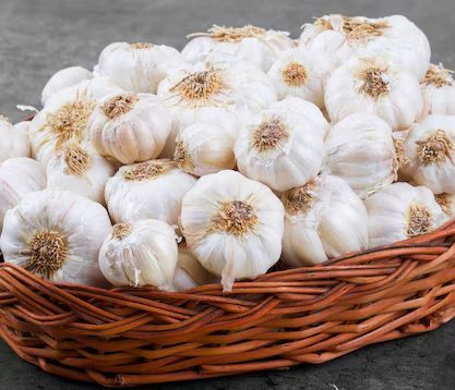 A Grade Fresh Garlic