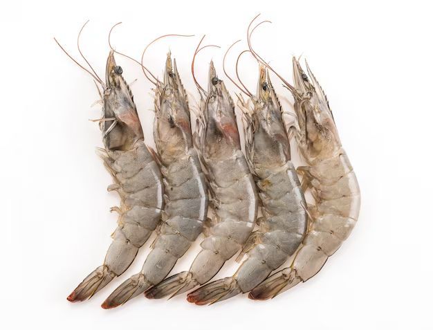 Fresh Frozen Prawn