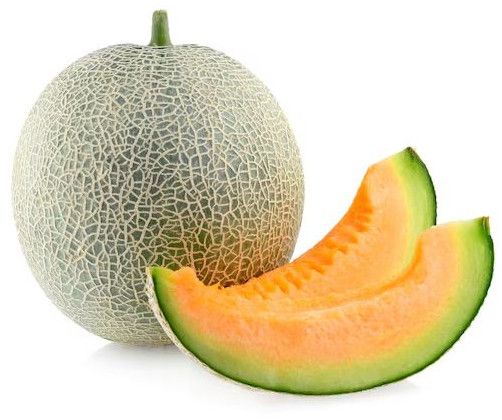 Fresh Muskmelon