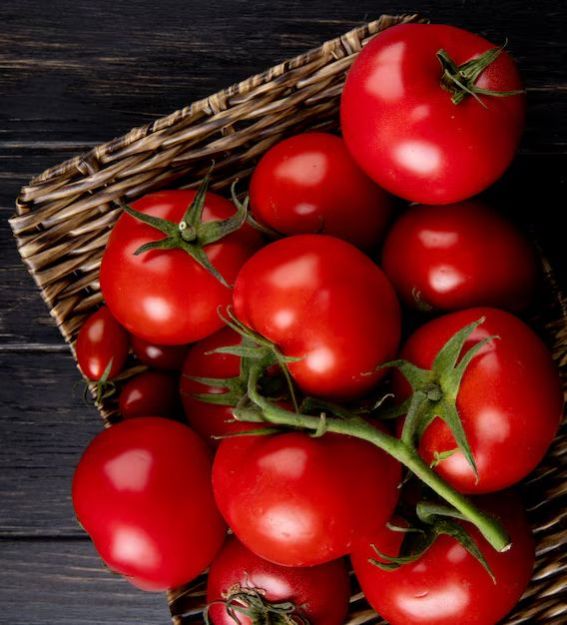 Fresh Red Tomato