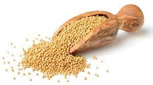 Yellow Mustard Seeds