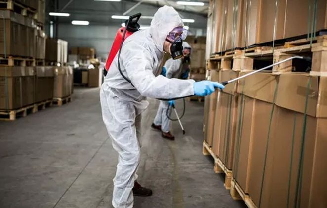 Pest Control Service